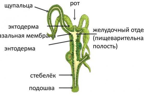 Блэк спрут 2fa код где взять