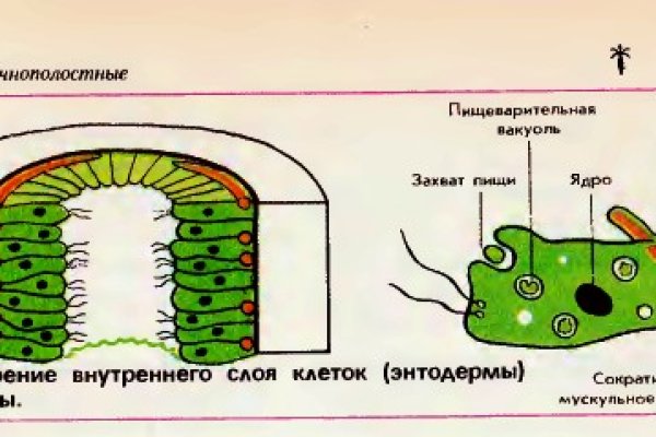 Тор blacksprut