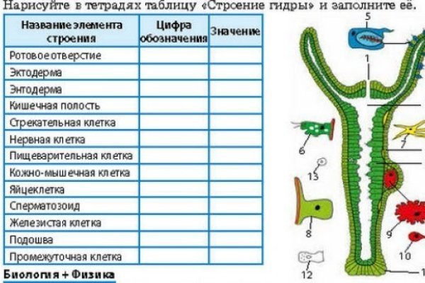 Как зайти на blacksprut через тор