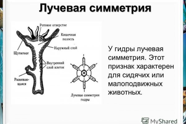 Https bs gl ссылка